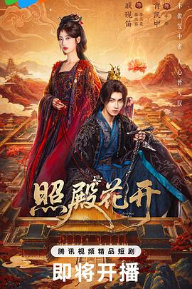照殿花开 海报