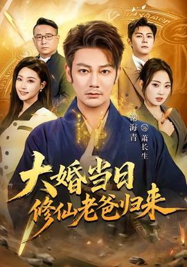大婚当日修仙老爸归来 海报