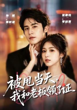 被甩当天，我和老板领了证 海报
