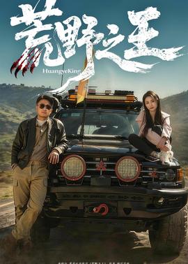 荒野之王 海报
