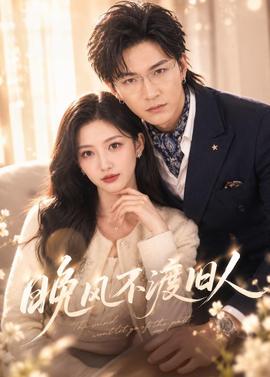 晚风不渡旧人 海报