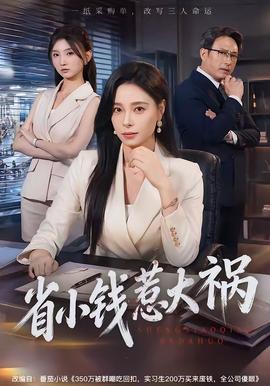 省小钱惹大祸 海报