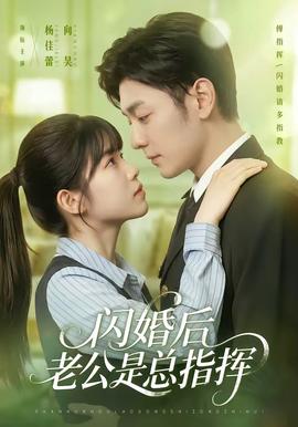 闪婚后老公是总指挥 海报