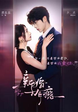 新婚有瘾 海报