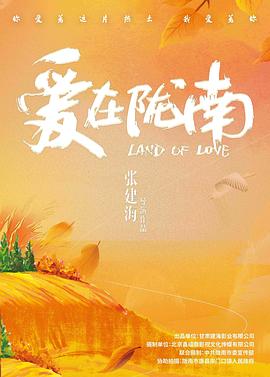 爱在陇南 海报