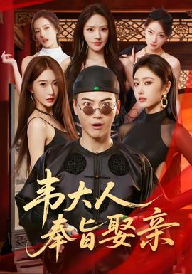 韦大人奉旨娶亲 海报