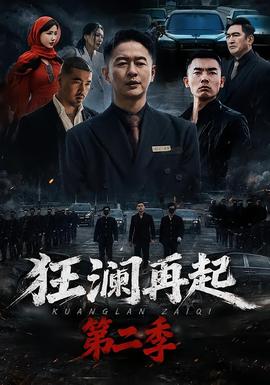 狂澜再起第二季 海报