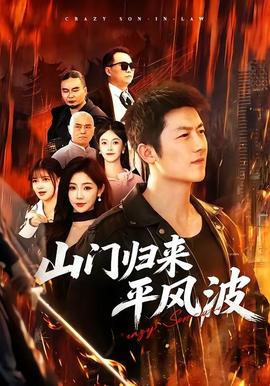 山门归来平风波 海报