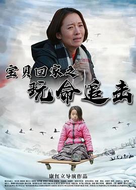 宝贝回家之玩命追击 海报