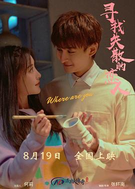 寻找消失的恋人 海报