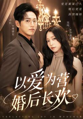 以爱为营婚后长欢 海报