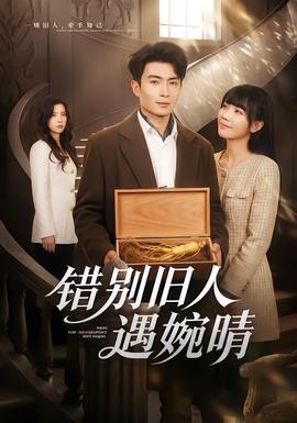 错别旧人遇婉晴 海报
