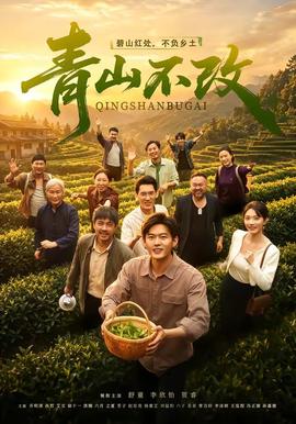 青山不改 海报