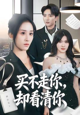 买不走你，却看清你 海报