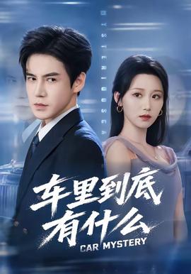 车里到底有什么 海报