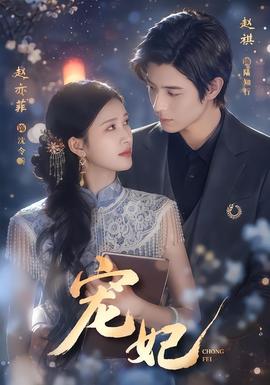 宠妃 海报
