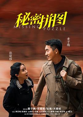 秘密拼图 海报