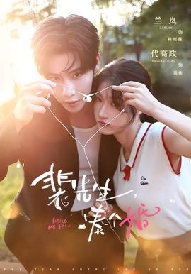 裴先生，凑个婚 海报