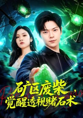 矿区废柴，觉醒透视赌石术 海报
