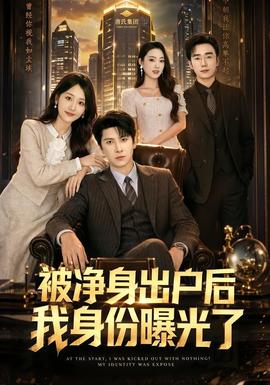 被净身出户后我身份曝光了 海报