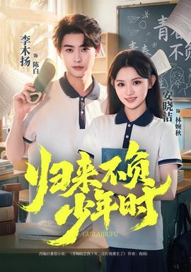 归来不负少年时 海报