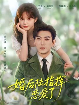 婚后陆指挥沦陷了 海报