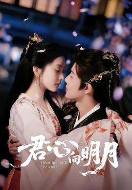 君心向明月 海报