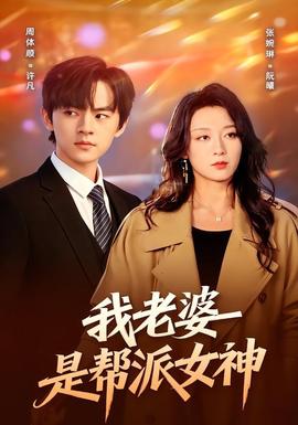 我老婆是帮派女神 海报