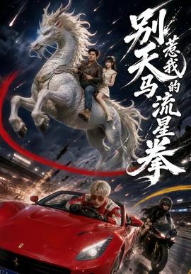 别惹我的天马流星拳 海报