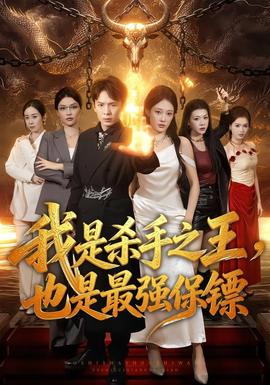 我是杀手之王，也是最强保镖 海报