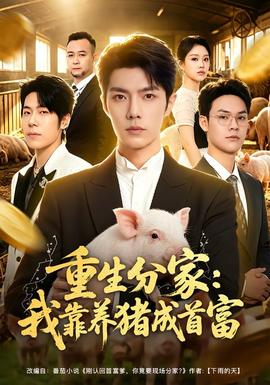 重生分家：我靠养猪成首富 海报