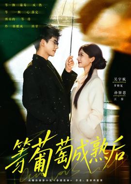 等葡萄成熟后 海报