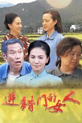 进错门的女人 海报