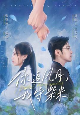 你追风月，我守柴米 海报