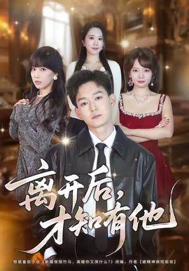 离开后，才知有他 海报