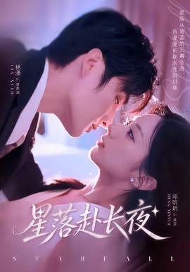 星落赴长夜 海报
