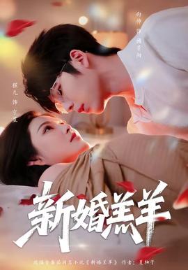 新婚羔羊 海报