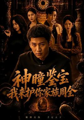 神瞳鉴宝：我来护你家族周全 海报