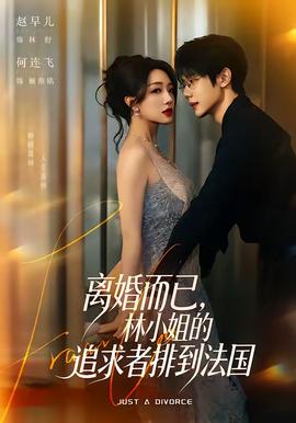 离婚而已，林小姐的追求者排到法国 海报