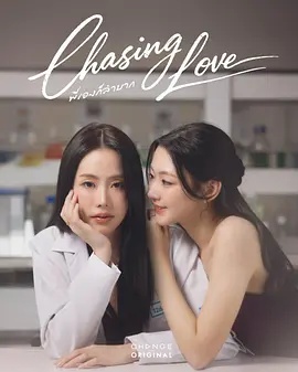 追逐爱情 海报