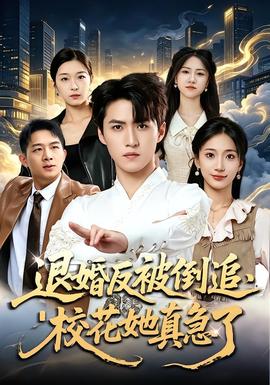 退婚反被倒追，校花她真急了 海报