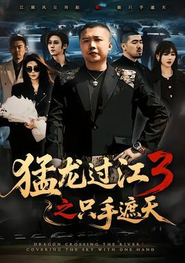 猛龙过江3之只手遮天 海报