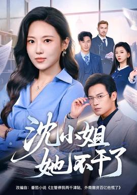 沈小姐她不干了 海报