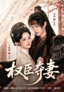 权臣夺妻 海报