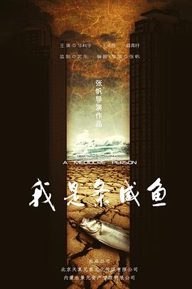 我是条咸鱼 海报