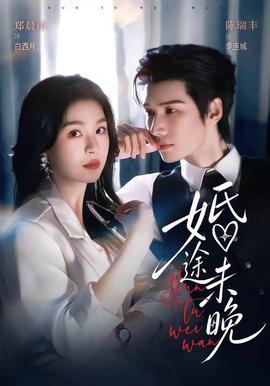 婚途未晚 海报
