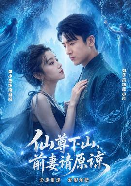 仙尊下山，前妻请原谅 海报