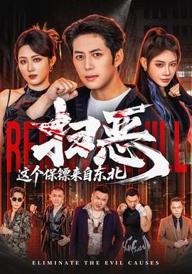 扫恶，这个保镖来自东北 海报