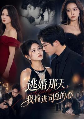 逃婚那天，我撞进司总的心 海报