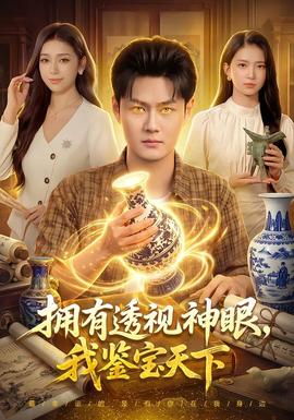 拥有透视神眼，我鉴宝天下 海报